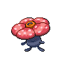 ラフレシア